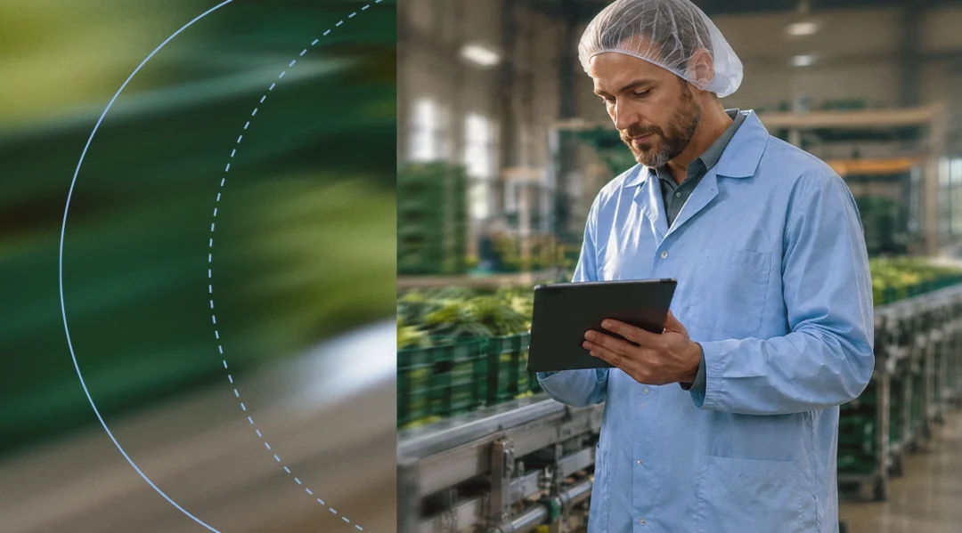 A food industry inspector wearing a hairnet and lab coat reviews a tablet on a produce processing line.